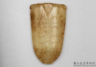 图片[2]-Jade Cicada, late Warring States period to early Western Han dynasty, 275-141 BCE-China Archive